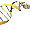 For Clinicians and Scientists : Rett Syndrome Networked Database dna-cloud
