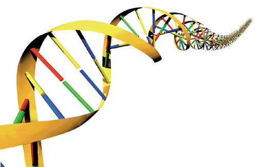 For Clinicians and Scientists : Rett Syndrome Networked Database